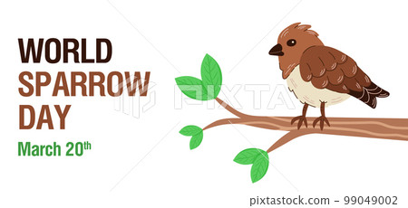 Banner for world sparrow day. Hand drawn illustration of a sparrow sitting on a branch with leaves. Banner for world sparrow day. Hand drawn illustration of a sparrow sitting on a branch with leaves. 99049002
