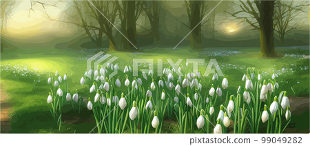 White snowy easter flowers with fresh green leaves in a spring sunny forest. Delicate snowdrops The first flower of spring symbols. Spring Easter concept. 99049282