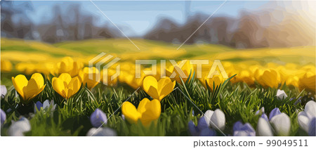 Snowfall flower. Spring wild flower. Beautiful grass of nature. Sketch of snow light flower branch. Flowering plant. Snowy floral art. Vector illustration banner 99049511