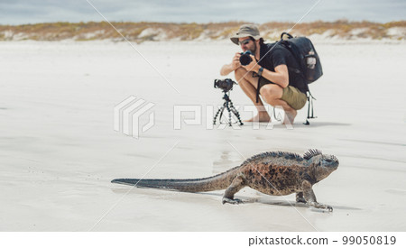Galapagos islands wildlife photography photographer tourist man taking photos of marine iguana walking on Tortuga Bay beach, Santa Cruz island. Galapagos cruise travel. Eco-tourism in Ecuador Galapagos islands wildlife photography photographer tourist man taking photos of marine iguana walking on Tortuga Bay beach, Santa Cruz island. Galapagos cruise travel. Eco-tourism in Ecuador 99050819