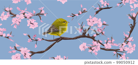 drawing a bird on a flowering tree branches. Vintage sketch of beautiful birds with flowers. Welcoming card design. , banner illustration. Ideal for fabric, wallpaper, gifts or postcard design. drawing a bird on a flowering tree branches. Vintage sketch of beautiful birds with flowers. Welcoming card design. , banner illustration. Ideal for fabric, wallpaper, gifts or postcard design. 99050912