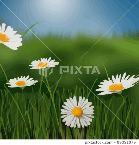 Spring background with chamomile flowers, green grass, blue sky. Can be used for Easter, birthday, party, anniversary, March 8, Women's Day. Seasonal Sales Spring background with chamomile flowers, green grass, blue sky. Can be used for Easter, birthday, party, anniversary, March 8, Women's Day. Seasonal Sales 99051079