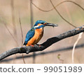 Kingfisher 99051989