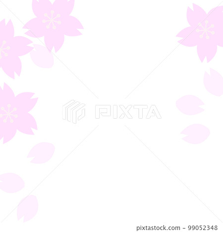 flower, cherry blossom, vector 99052348