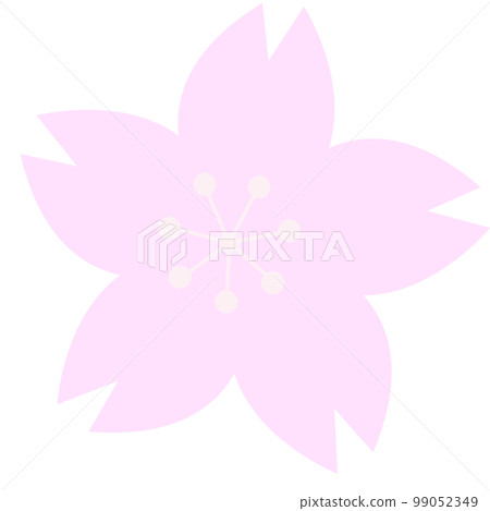 flower, cherry blossom, vector 99052349