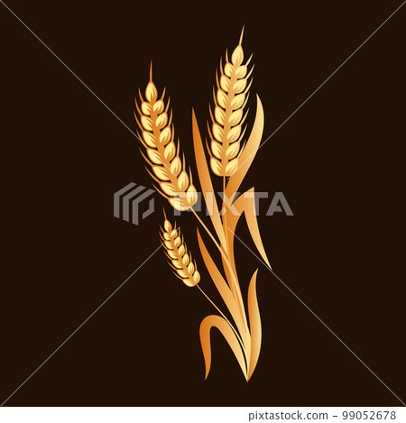 Spikelets of wheat, rye, barley, gold design on a dark background. Decor element, logo, icon, vector 99052678