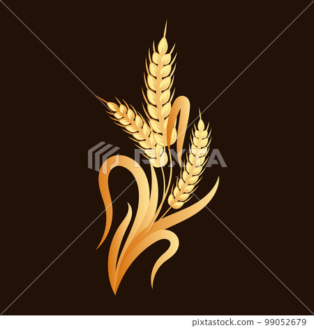 Spikelets of wheat, rye, barley, gold design on a dark background. Decor element, logo, icon, vector 99052679