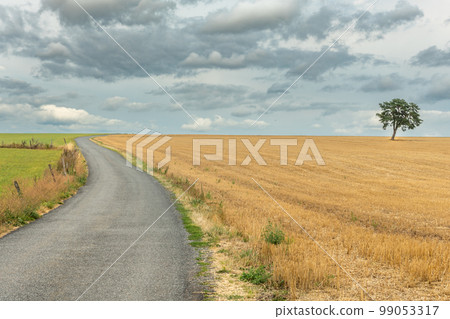 Quiet little road in French countryside. 99053317