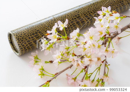 [Graduation image] Diploma tube / certificate tube [Material] 99053324