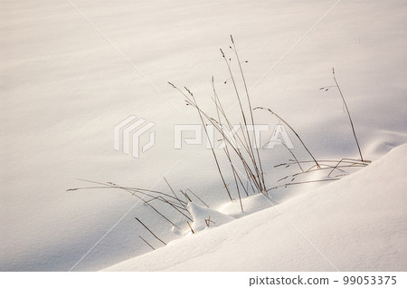 Fresh powder snow covering ground in winters. Fresh powder snow covering ground in winters. 99053375
