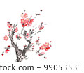 Plum blossom  99053531