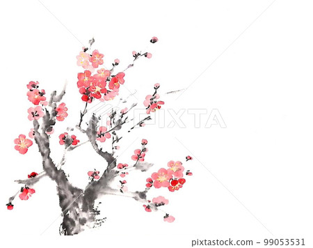 Plum blossom  99053531