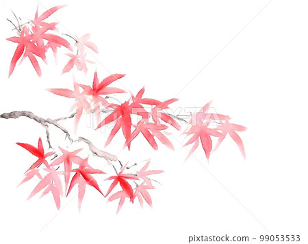 秋天的紅葉 秋天的紅葉 99053533