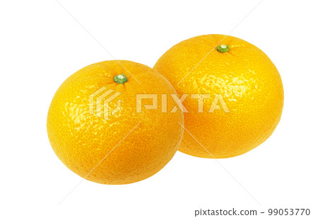 甜蜜的夏日橘子插畫逼真 99053770