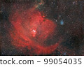 錐形星雲和聖誕樹星團_2022.12 99054035
