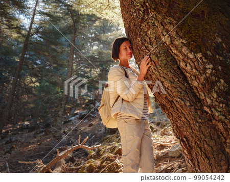 woman enjoys nature, beautiful forest in mountains woman enjoys nature, beautiful forest in mountains 99054242