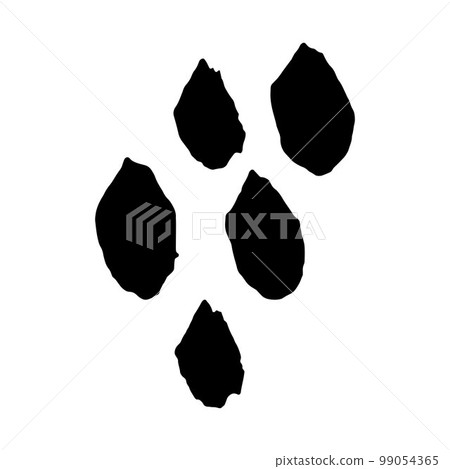 Vector grunge round brushes. Black stroke, stain 99054365