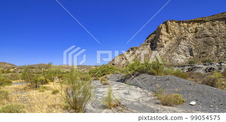 Tabernas Desert Nature Reserve, Almeria, Spain 99054575