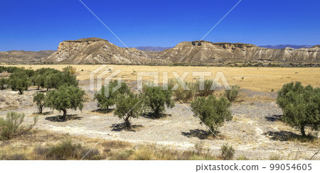 Tabernas Desert Nature Reserve, Almeria, Spain 99054605