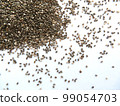 Chia seeds isolated on white background. Black grains scattered on white surface. Super food, snack, breakfast, ingredient milking cooking photo. Proper nutrition, healthy lifestyle, diet, copy space 99054703
