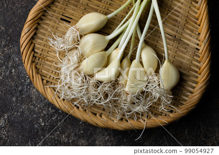 新鮮發芽的大蒜 99054927