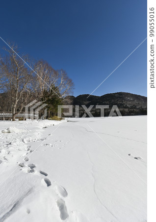 栃木縣日光湯之湖冬景 栃木縣日光湯之湖冬景 99055016