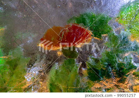 Red flowers with green leaves frozen in ice Red flowers with green leaves frozen in ice 99055257