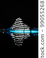 "Nagano Prefecture" Matsumoto Castle Laser Mapping "Matsumoto City" 99055268