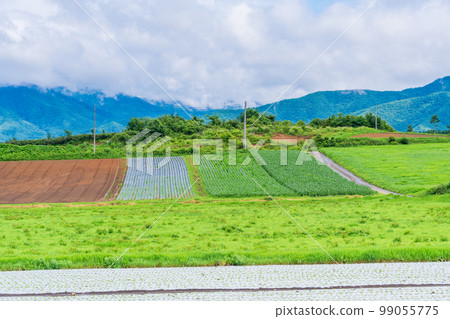 (Nagano Prefecture) Yatsugatake Kogen Vegetable Field 99055775