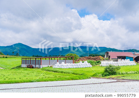 (Nagano Prefecture) Yatsugatake Kogen Vegetable Field 99055779