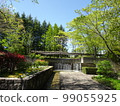 Fountain and sprouting trees [early summer] 99055925