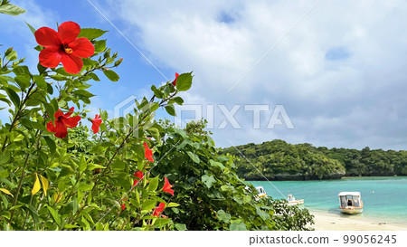 Okinawa landscape Ishigaki Island Okinawa Prefecture Kabira Bay Hibiscus Okinawa landscape Ishigaki Island Okinawa Prefecture Kabira Bay Hibiscus 99056245