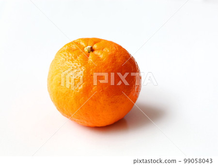 One ponkan (with shadow) 99058043