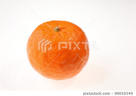 1 椪柑（無陰影） 99058349