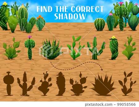 Find the correct shadow of mexican prickly cactus succulents. Shadow match child puzzle, similarity search game vector worksheet or silhouette find quiz with prickly succulent plants, desert cactuses Find the correct shadow of mexican prickly cactus succulents. Shadow match child puzzle, similarity search game vector worksheet or silhouette find quiz with prickly succulent plants, desert cactuses 99058566