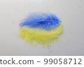 Blue and yellow soft feathers, symbolizing the flag of Ukraine, on a light background. Ukrainian concept. 99058712