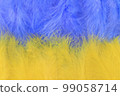 Blue and yellow background. Ukrainian flag made of artificial feathers. Ukrainian concept. 99058714