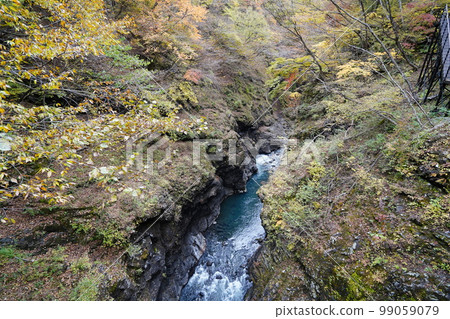 群馬縣秋季吾妻峽從八葉水壩下游的紅葉台橋眺望吾妻峽 2022 年 11 月 4 日 99059079