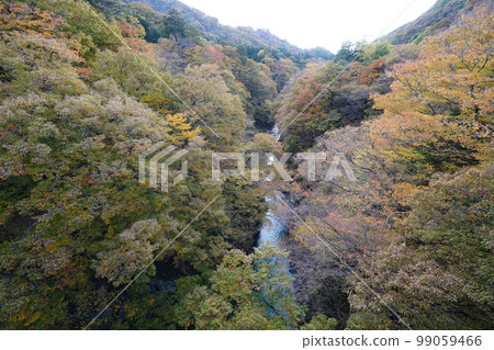 群馬縣秋天的東津峽八葉水壩下游東津峽大橋附近的東津峽景色 2022 年 11 月 4 日 99059466