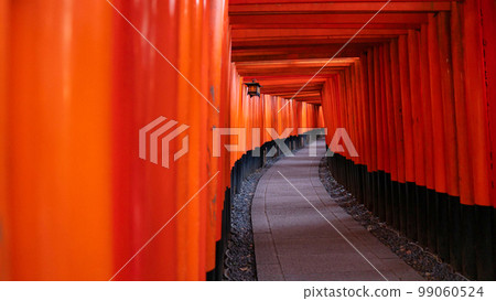 Scenery of torii at Fushimi Inari Taisha Shrine in Kyoto 99060524