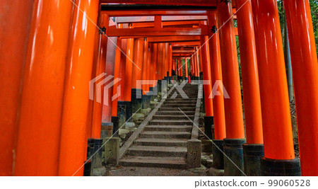 京都伏見稻荷大社鳥居風光 99060528