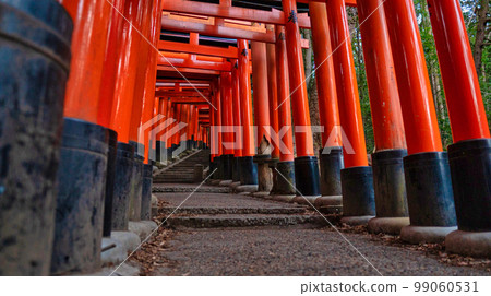 京都伏見稻荷大社鳥居風光 99060531