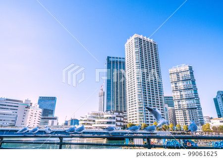 Yokohama cityscape in Japan View of JR Yokohama Tower, Yokohama Station, Yokohama Bay Quarter, etc. A cute black-headed gull is also enshrined 99061625