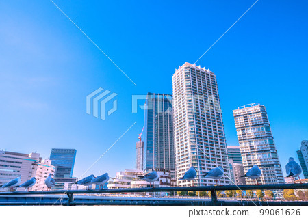 日本橫濱市景 JR橫濱塔、橫濱站、橫濱灣區等景觀。還供奉著一隻可愛的黑頭鷗 99061626