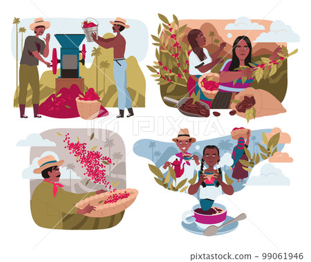 People Harvesting Coffee Crop and Drinking Hot Aromatic Beverage Vector Set 99061946