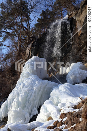 仲冬冰瀑（長野縣茅野市乙女瀑布） 99062474