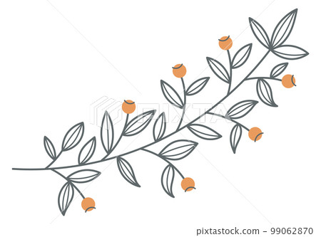 Botanical branch with leaves and blossom. Decorative ornate element 99062870