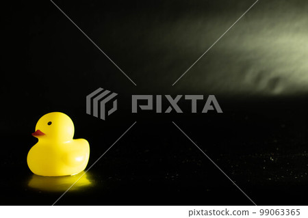 Poor and lonely Duck (left, color) after being ostracized 99063365