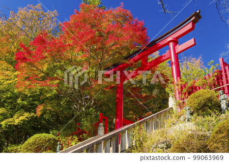 Takao Yakuo-in Torii Gate and Autumn Leaves / 東京高尾山 Takao Yakuo-in Torii Gate and Autumn Leaves / 東京高尾山 99063969