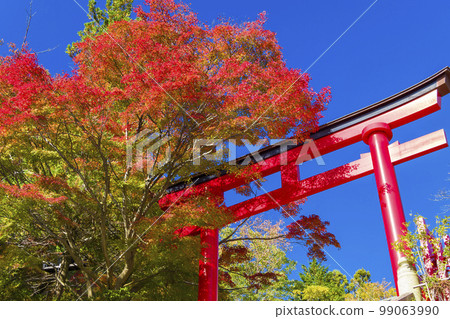 Takao Yakuo-in Torii Gate and Autumn Leaves / Mt. Takao, Tokyo Takao Yakuo-in Torii Gate and Autumn Leaves / Mt. Takao, Tokyo 99063990